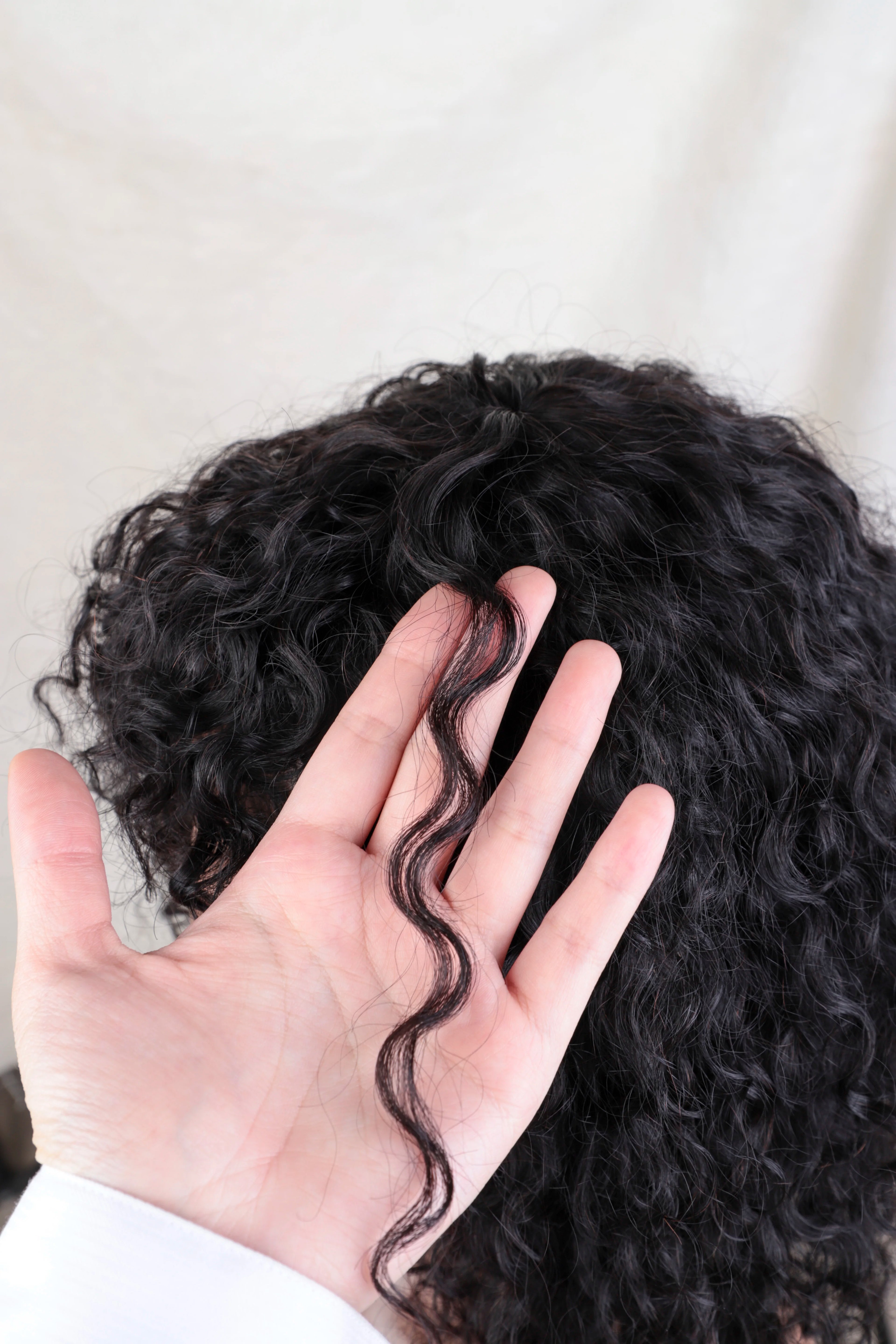 Jerry Curl Pixie Bob with Bangs